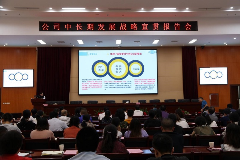 公司舉辦“中長期發(fā)展戰(zhàn)略、精細(xì)化管理和合規(guī)管理”宣貫 首場報告會