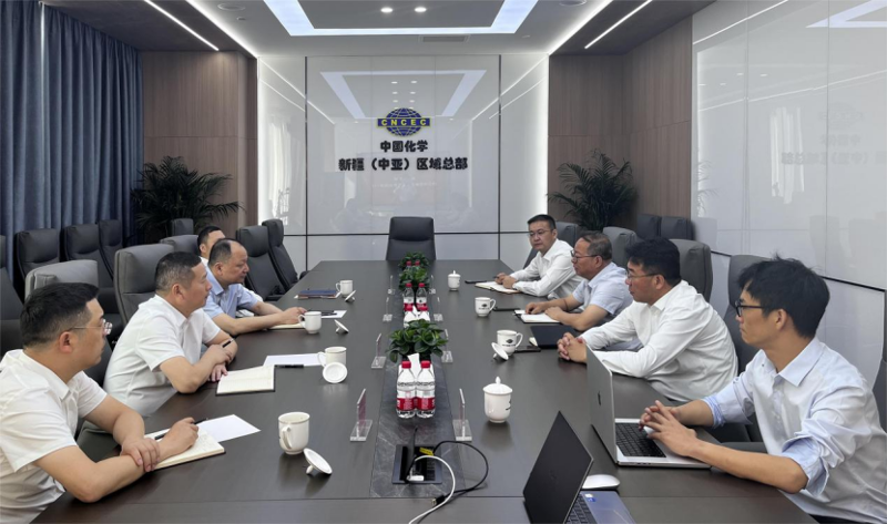 周鴻會見中國化學新疆(中亞)區(qū)域總部總經理周明生